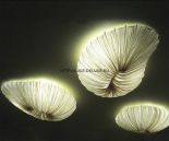 купить Потолочный накладной светильник Aqua Creations Aqua Creations CORAL